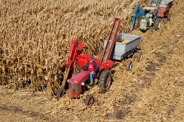 Massey Ferguson corn picker - Massey Harris & Massey Ferguson Forum