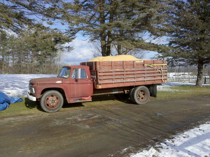 Show your grain trucks - Yesterday's Tractors