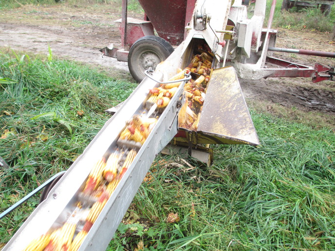 Power corn rake Yesterday's Tractors