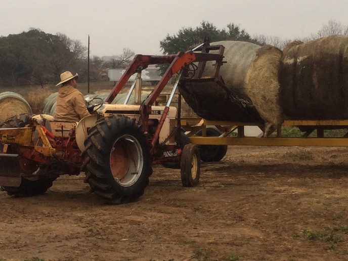 Hauling Hay Yesterday's Tractors