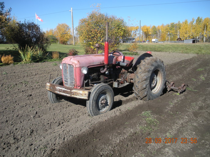 FE35 TO35 Glühkerze Flammkerze Massey Ferguson Perkins CAV 65 