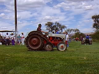 Ford 8N with Tracks Tractor