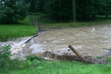 High Water From Too Much Rain - Took this picture of dad's fence catching too much water/derbis. . . the stream is usually below the fence line.