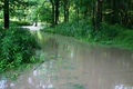 Water In The Lane - Water filled the low spot in the stream where we usually cross.