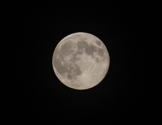 Full Moon - Picture of the 'Super Moon.'
