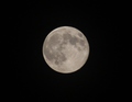 Full Moon - Picture of the 