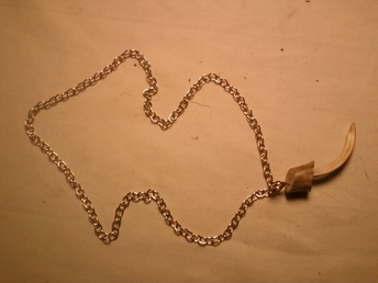 Porcupine Tooth Necklace -