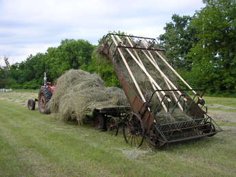 40S Hay Loader And H Farmall - JD hay loader picking up loose hay