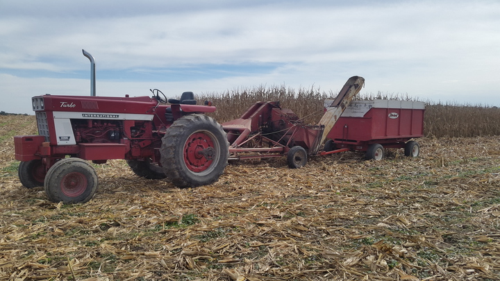 Ih 1066 With Two Row 30 Inch Ih Picker - I have a 1066 with a IH picker with Stanhoist barge bed got 120 bushel in it today.