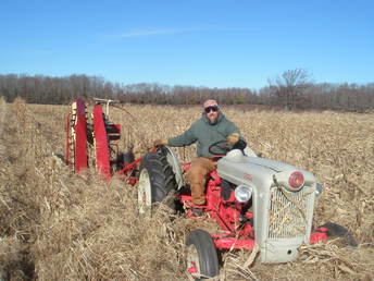 1940S Mccormick Deering Pto Corn Binder - In the field