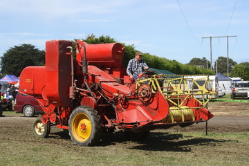 Massey-Harris 700 Header  - 28-01-2017 Nigel Cathcart returns to the display area after the first Massey-Harris/Case parade on the Saturday