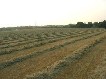 Vicon disc mower, any good? | Yesterday's Tractors Forums