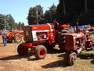 International Harvester / Farmall Tractor -  IH 1066