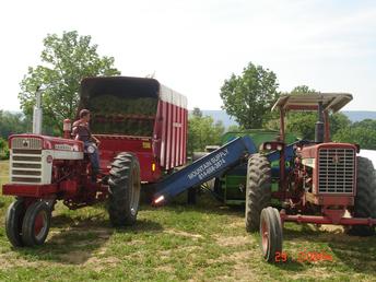 1959 Farmall 560D And 656D Filling Silage Bag - the 560 and 656 are great fuel efficient tractors to run in todays world of high fuel prices