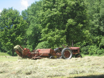 1941 Farmall H And NH 68 Baler - Ran the WD45 out of gas so gave the H a turn on the baler instead of the rake. It ran it great!