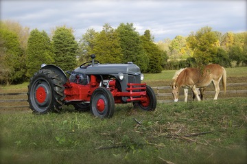 1941 9N - Used for bush hogging and mucking the barn. Tami (Belgian mule) can retire now that the ol' 9n is running.