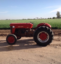 1956, Massey Harris 50 - Bought this tractor at a estate sale. Was in very  rough shape. Spend good six months tearing it  down,replacing part,sand blasting rusty panels  and priming for paint. This tractor is a real  workhorse and now runs superb .