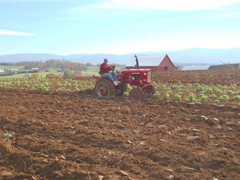 1977 IH 140 - At the plow day nov 8, 2014