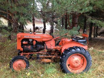 Allis C Or B - Can't tell if this is a B or C .. it  says C4537 on the serial number but it  is exactly the same look as a B with  hand brakes ..  but has starter and pto  and etc ..  gdougherty@gmail.com  Let me know what you think ..   Gary