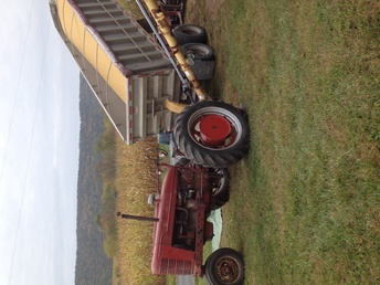 1948 Farmall M - 67 years old and still hard at work!!