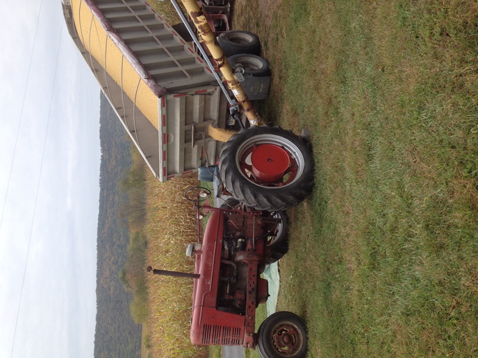 1948 Farmall M - 67 years old and still hard at work!!