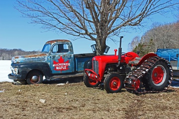1961 MF 35 1951 Ford F-1  - Ford half-ton, bought new by John H.  MacKenzie. Massey 35 used in sugar bush to  collect sap.