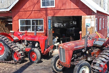 1960 Fe 35 MF, 1961 MF 35 - English built tractors. 60 bought brand new  by John H. MacKenzie. 2015 syrup season.  wood fired arch, and two canine  supervisors.
