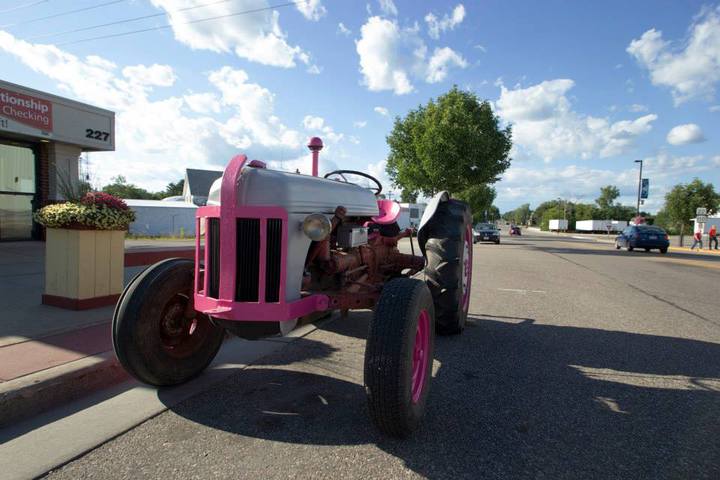 9N Ford - In honor of breast cancer awareness. My gf is so proud of her tractor