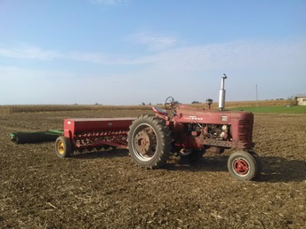 1958 Farmall 450D - Drilling cover crop Rye.