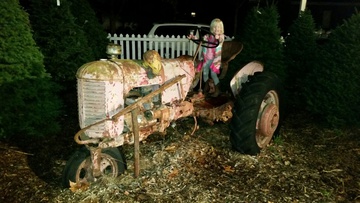 Case - This tractor has been at the Xmas tree lot in Sonoma for years