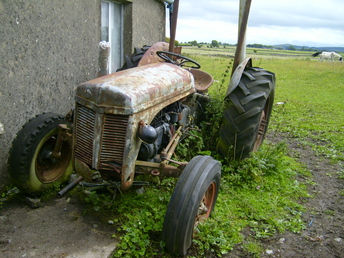 1954 Ferguson Tef 20 - As parked for about 10 years in Ballintober (Cummer  parish) Co. Galway Ireland, where it had been used  as a scratching post by horses.