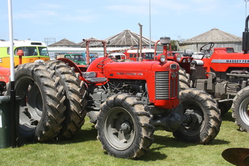 Massey-Ferguson 65 - 28-01-2017 Edendale Crank-Up Weekend Southland New-Zealand the Davidson Four Drive fitted to this Massey-Ferguson 65 was developed by a local Agricultural Contractor(Colin Davidson)who was looking for a more effective way of working steep or boggy country with out having to go to the expense of buying a crawler tractor several 100 of these and later conversion kits manufactured