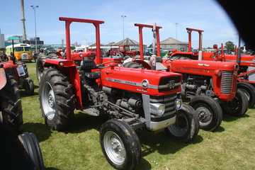 Massey-Ferguson 148 - 28-01-2017 Edendale Crank-Up Weekend Southland New-Zealand one way of knowing your getting on a bit is seeing fully restored tractors that you can remember seeing brand new on display at the Southland A