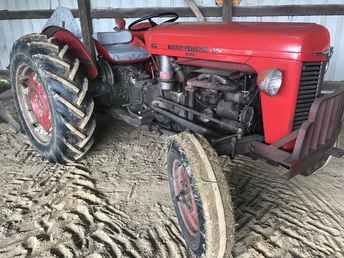 Massey Ferguson 35 Deluxe  - 1011 Original Hours. Been in the same family since  I purchased it this summer. Straight and Original.