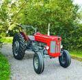Massey Ferguson 65 - My Old tractor 