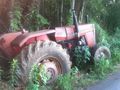 1982 MF 283 W/ 6 Rhino Mower - While mowing the county road ditches, even with the limited amount of rain we have had I found a bog hole. The rear tire in the ditch was down before I knew it. I engaged the posi-trac but that didn
