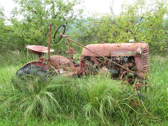Cub Orchard Tractor - Hiding in a local orchard