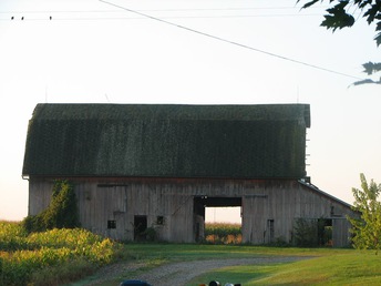 Na - Barn looks good from the front but, the backside was real bad and raining inside making it unsafe.