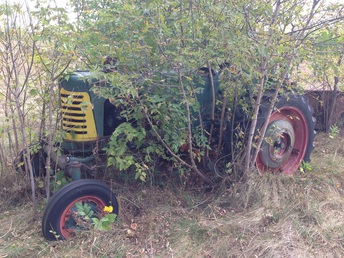 1958 Oliver Super 88 - Treed In - Tractor has been sitting for many years, previous  owner trimmed trees about 3 years ago. This is 3  years of growth. I had to bring a chainsaw with  when I picked it up. There was a limb grown  around the left brake pedal. I'll have to chisel it out.  Lol!