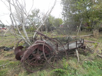 Spreader With Tree - Removed from the fencerow- looks like a good piece of 'yard art'