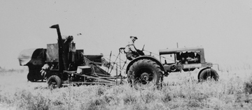 1938 WC And 1938 Allis 60 Combine - My grandfather on the Allis.  He had this rig, and Dad had a 44 WC and a 44 Model 60A.  Big improvement over the 48' thresher!