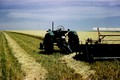 1951 Oliver 77 Row Crop W/ 8 Windrower - The old 77 with an 8 foot Oliver  windrower.  This was taken approx. July  1957.