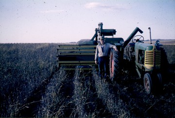 1951 Oliver 77 Row Crop W/ 18 Combine  - My dad Jim with the 77 and model 18  Oliver combine in his FFA project.   Narrow row soybeans.  Photo taken Oct.  1965.