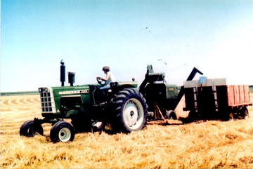 Oliver 1855 RC W/ 18 Combine - My dad on his new 1855 diesel.  He traded  his 1950-T wheatland in on this outfit.   He's harvesting oats with the old model  18 Oliver.  Photo taken Aug. 1973.