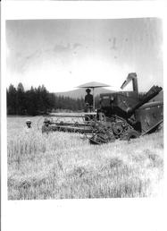 Case SP-12 Combine. - Left to Right.  Ivan Freeburg, Harold Weatherford, and Albi Weatherford?  Harvesting wheat in August of 1955 on Ivan Freeburg's property near Sanders, Idaho w/ Plummer Butte in the background.  Harold Weatherford owned the combine.  A Case SP-12-I think?  Harold Weatherford is my Great Grandfather and The Freeburg family is good family friends to this day, still putting in the crop.