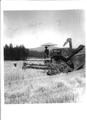 Case SP-12 Combine. - Left to Right.  Ivan Freeburg, Harold Weatherford, and Albi Weatherford?  Harvesting wheat in August of 1955 on Ivan Freeburg