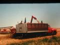 Massey 92 - This is a picture of our massey 92 during the wheat harvest of 1976.I was the one that run the combine dad drove the truck to the bin site and my brother run them around in the field.<P>I was eleven at the time and my brother was eight. 