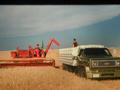 92 Massey - Here is another photo of the 1976 wheat harvest . This time you can see more of the combine as well as that new 1973 chevy truck. Still have this truck as well as the 48 pictured in other photos.