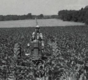 JD B With 2 Row Cultivator - This is a close up of Ernest Hoopes my wife Diane's grandfather cultivating corn with his John Deere B tractor with 2 row cultivator.