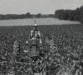 JD B With 2 Row Cultivator - This is a close up of Ernest Hoopes my wife Diane